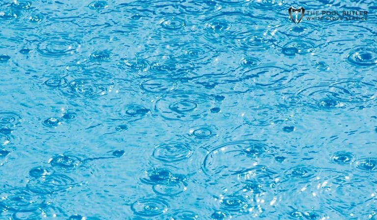 Rainwater Disturbing Pool Surface at The Pool Butler